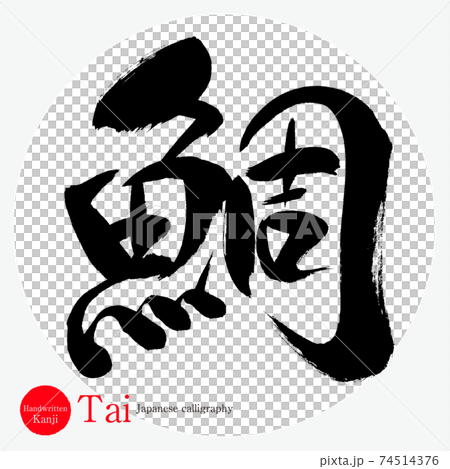 鯛 Tai 筆文字 手書き のイラスト素材