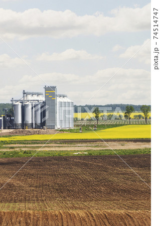 Field of rapeseed flowers, plant for cleaning and storage of agricultural products, flour, cereals and grains. 74514747