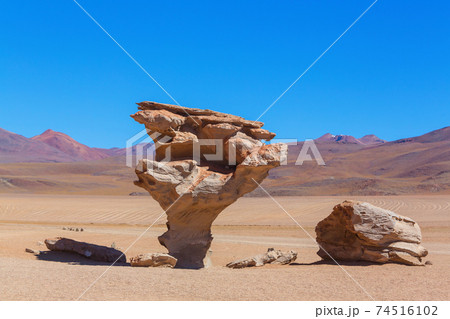 Arbol de Piedra 74516102
