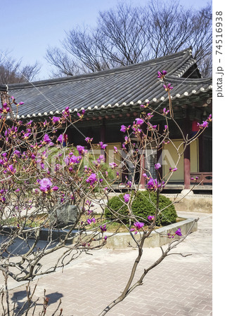 住宅 家屋 韓国 74516938
