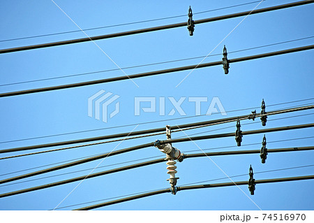 電線に取り付けられた鳥よけの写真素材