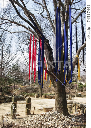 住宅 家屋 風景 74517441