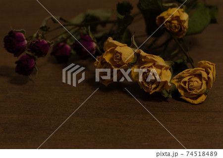 バラのドライフラワー 74518489