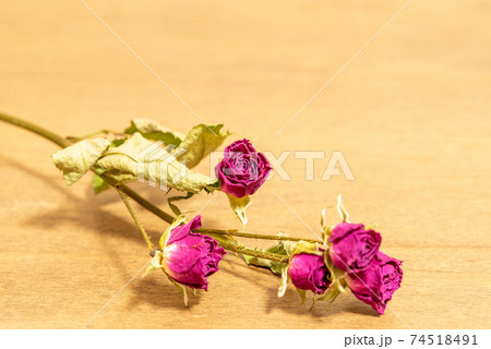 バラのドライフラワー バラのドライフラワー 74518491