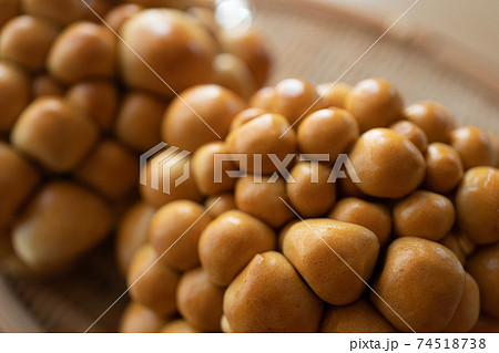 きれいななめこ きれいななめこ 74518738