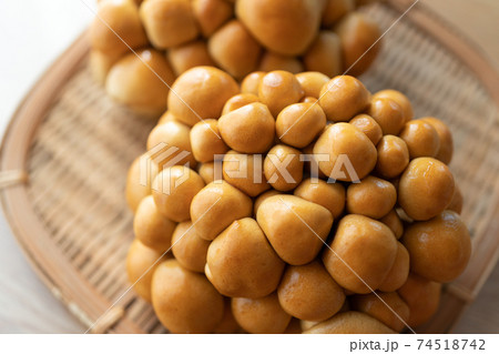 きれいななめこ 74518742