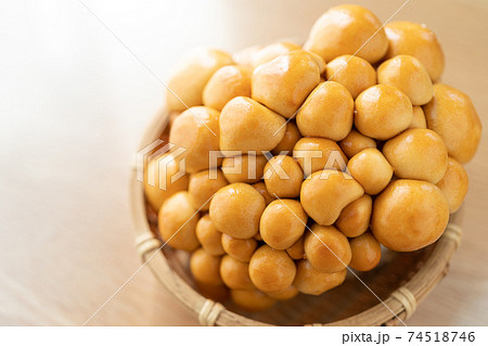 きれいななめこ きれいななめこ 74518746