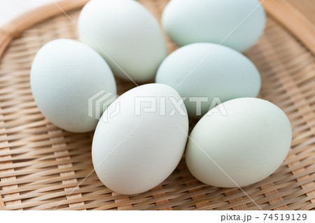 アローカナの卵 74519129