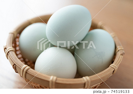 アローカナの卵 アローカナの卵 74519133