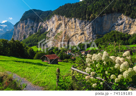 Lauterbrunnen valley view from the flowery garden, Bernese Oberland, Switzerland Lauterbrunnen valley view from the flowery garden, Bernese Oberland, Switzerland 74519185