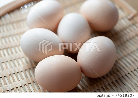 烏骨鶏の卵 烏骨鶏の卵 74519307