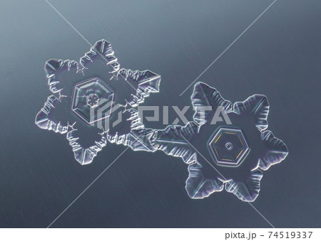 Two snowflakes on smooth gradient background. Macro photo of real snow crystal on glass surface. This is small snowflake with unusual pattern. 74519337