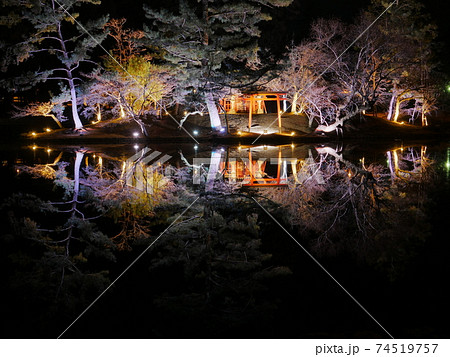 東大寺 鏡池　ライトアップ 74519757