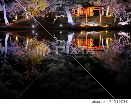 東大寺 鏡池　ライトアップ 74519758