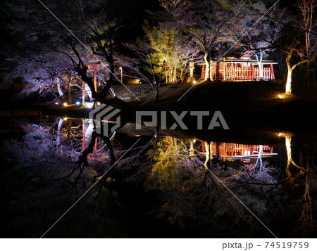 東大寺 鏡池 ライトアップ 東大寺 鏡池 ライトアップ 74519759