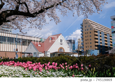 東京都 春 国立市 国立駅南口 東京都 春 国立市 国立駅南口 74519869