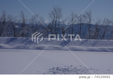 雪国の風景 74520093