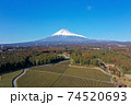 冠雪の富士山と茶畑を上空からドローン撮影 74520693