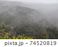 ハワイ島のキラウエア火山に行ってみた 74520819