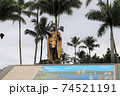 ハワイ島のカメハメハ大王像はまた違った雰囲気を出している 74521191