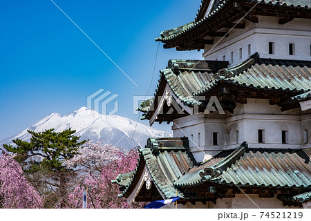 晴れた日の桜と弘前城と津軽富士岩木山 74521219
