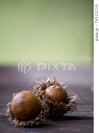 秋の贈り物 74521710