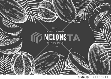 Melons with tropical leaves design template. Hand drawn vector exotic fruit illustration on chalk board. Retro style fruit banner. 74522013