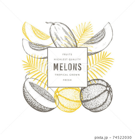 Melons with tropical leaves design template. Hand drawn vector exotic fruit illustration. Retro style fruit banner. 74522030