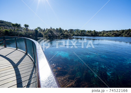 ププ・スプリング 74522166