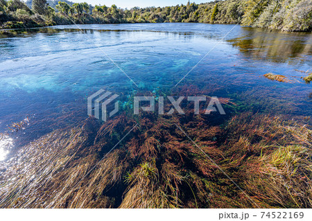 ププ・スプリング ププ・スプリング 74522169