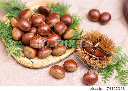 新鮮な大粒の栗 74522348