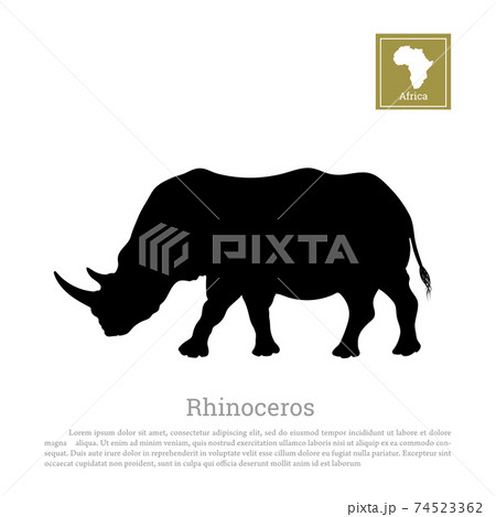 Black silhouette of a rhino on a white background 74523362