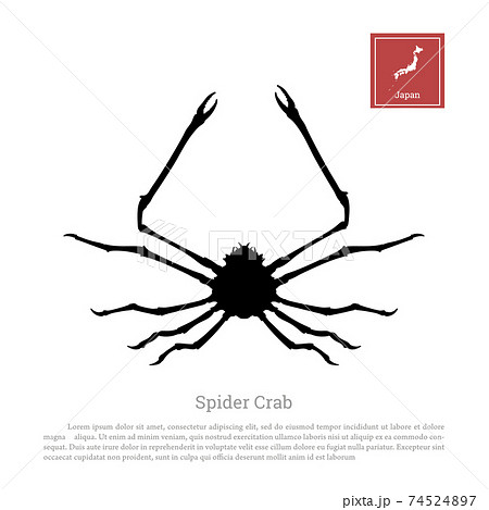 Black silhouette of a Japanese spider crab on a white background. Animals of Japan. Isolated icon Black silhouette of a Japanese spider crab on a white background. Animals of Japan. Isolated icon 74524897