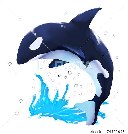 Orca Bouncing From The Surface Of The Sea Stock Illustration