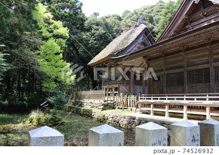 玉若酢命神社、隠岐の総社、八百杉 74526932