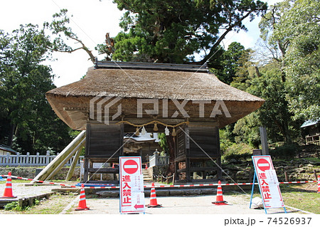 玉若酢命神社、隠岐の総社、八百杉 74526937