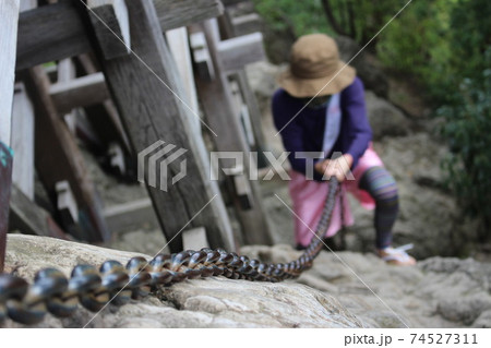 【国宝】三徳山 三佛寺(三仏寺)投入堂(奥院・蔵王殿) 【国宝】三徳山 三佛寺(三仏寺)投入堂(奥院・蔵王殿) 74527311