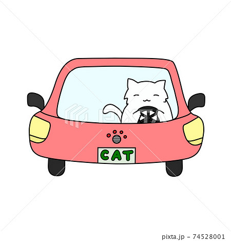 車を運転している白猫 74528001