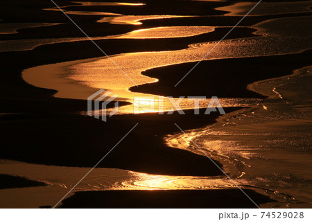 新舞子海水浴場 干潟 5 新舞子海水浴場 干潟 5 74529028
