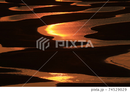 新舞子海水浴場　干潟　6 74529029