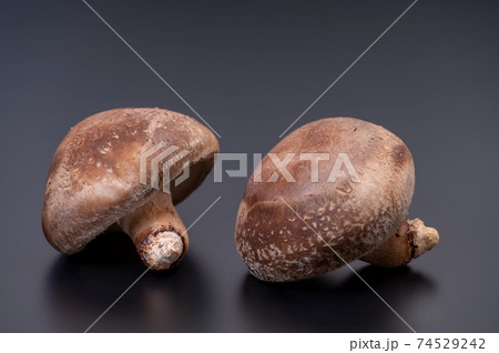 厳選された最高峰の生椎茸「のとてまり」のブツ撮り写真 74529242