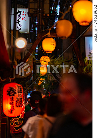 新宿 思い出横丁 歌舞伎町 大ガード 午後 歓楽街 深夜 都心 夜景 東京 飲み屋 サラリーマン 観 新宿 思い出横丁 歌舞伎町 大ガード 午後 歓楽街 深夜 都心 夜景 東京 飲み屋 サラリーマン 観 74529662