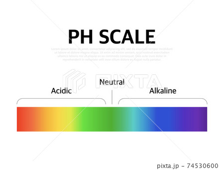 The Ph scale universal Indicator ph Color Chart diagram. Vector illustration with ph scale. 74530600