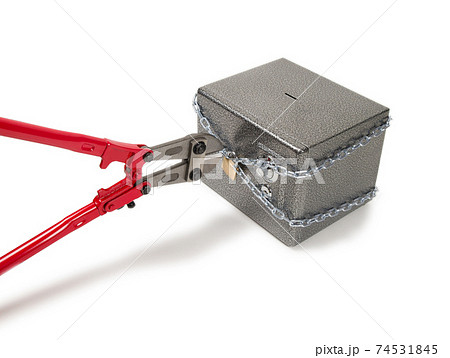 Cutting chain with bolt cutters. Cutting chain with bolt cutters. 74531845