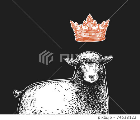 Vector Stylized Close up Illustration of the Queen Sheep with a crown over the head and funny surprised facial expression. Cartoon illustration of the Queen Sheep in graphic style on a white 74533122