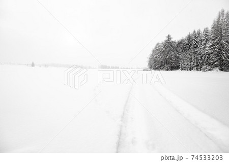 winter landscape with snowy trees in Czech Republic winter landscape with snowy trees in Czech Republic 74533203