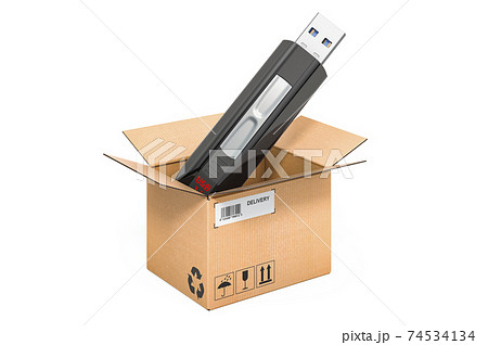 USB flash inside cardboard box, delivery concept. 3D rendering USB flash inside cardboard box, delivery concept. 3D rendering 74534134