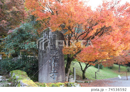 紅葉 高源寺 丹波市 【兵庫県】 紅葉 高源寺 丹波市 【兵庫県】 74536592