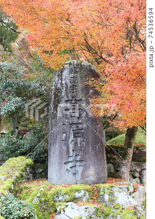 紅葉　高源寺　丹波市　【兵庫県】 74536594