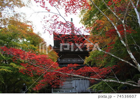 高源寺 紅葉 丹波市 【兵庫県】 高源寺 紅葉 丹波市 【兵庫県】 74536607